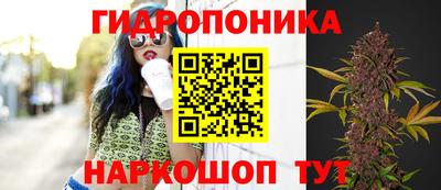 2c-b Шахты