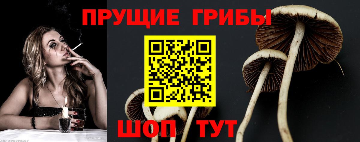 Галлюциногенные грибы ЛСД  Вход с VPN  Мценск 